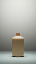 Ceramic Minimalist Vase